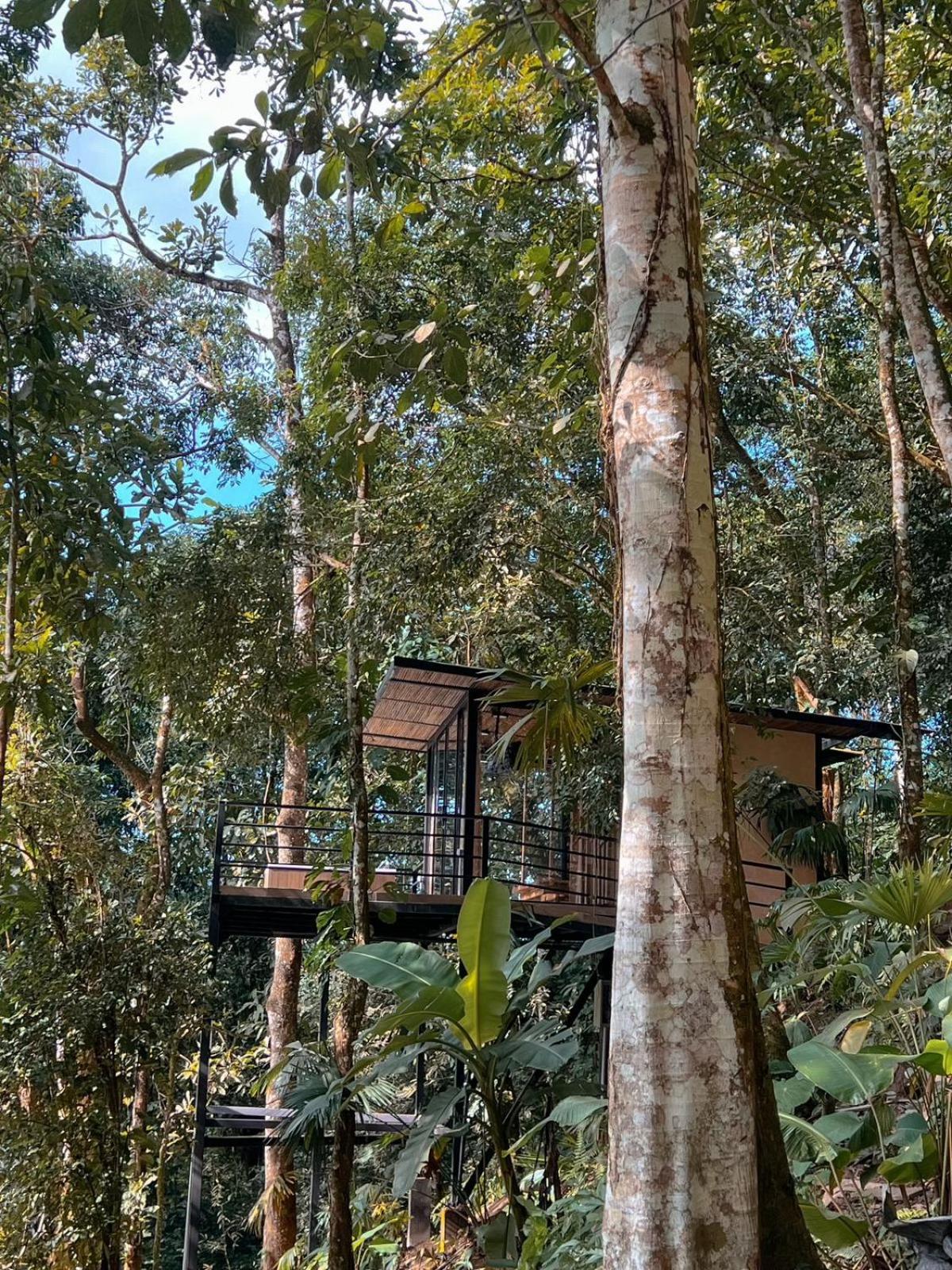 Rincon De La Sierra Minca Hotel Buitenkant foto